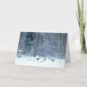 Cardinal's in the Snow Greeting Card