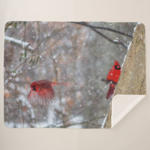 Cardinals in the Snow Sherpa Blanket