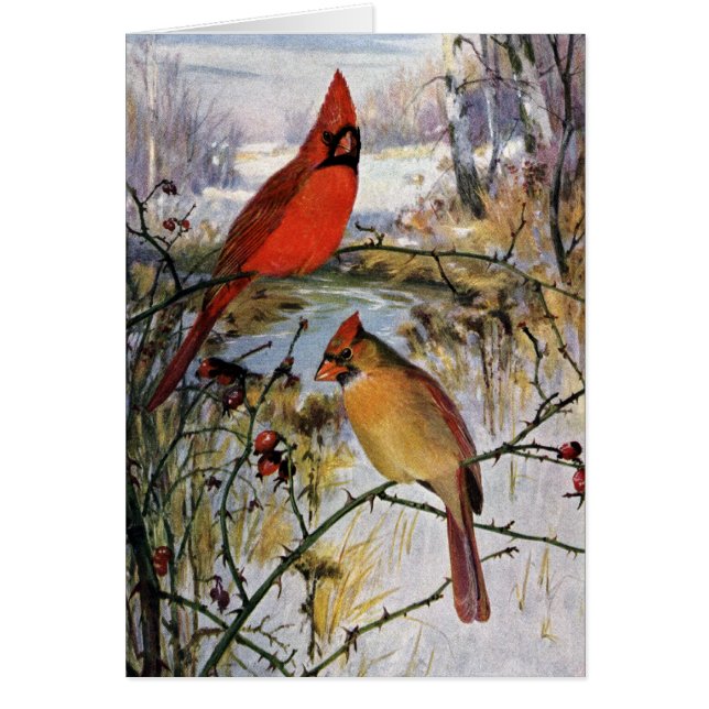 Cardinals in Winter (Front)