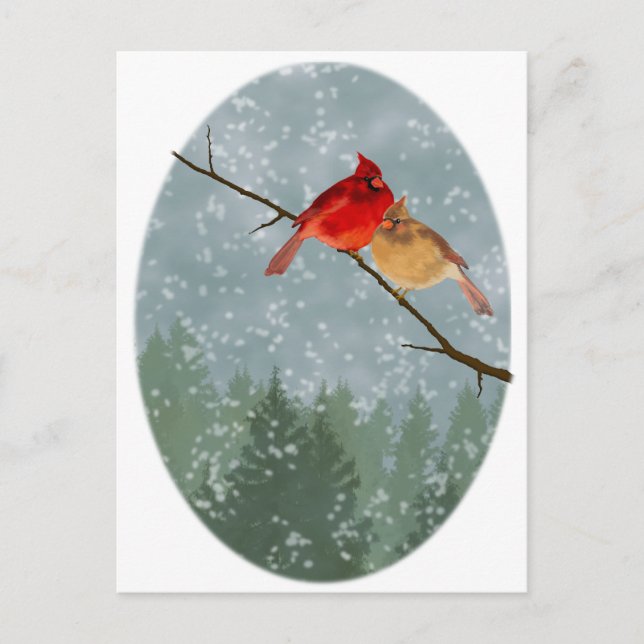 cardinals in winter postcard (Front)
