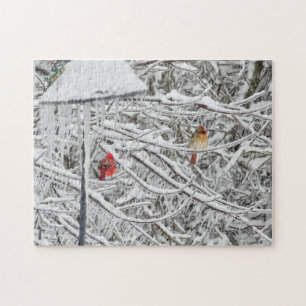 Cardinals Jigsaw Puzzle