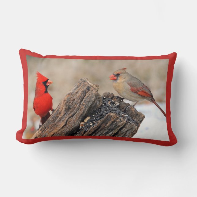Cardinals Lumbar Cushion (Front)