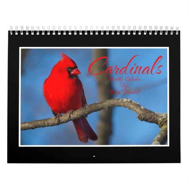 Cardinals Monthly Calendar By Thomas Minutolo (Cover)