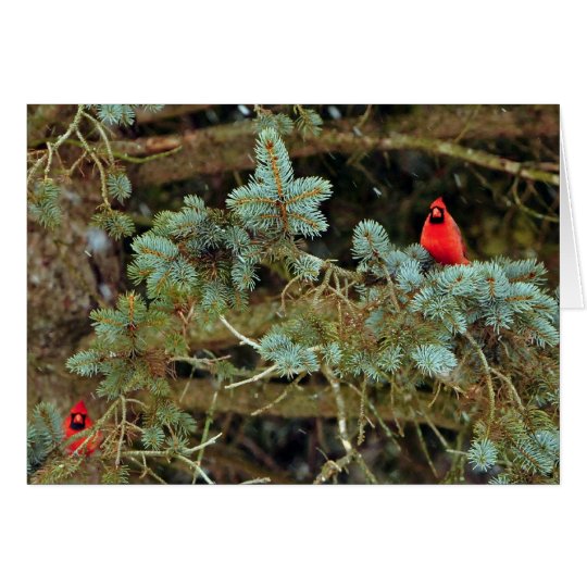 Cardinals Note Cards