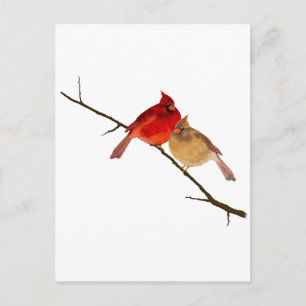 cardinals on a branch postcard