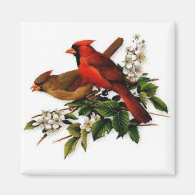 Cardinals on a square magnet (Front)