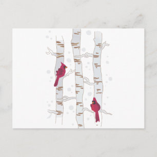Cardinals on Aspen Postcard