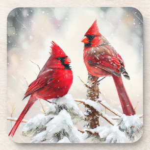 Cardinals on Snowy Tree Branch in Christmas Winter Coaster