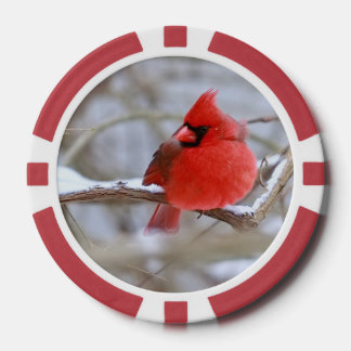  Cardinals_Poker_Chips  Poker Chips