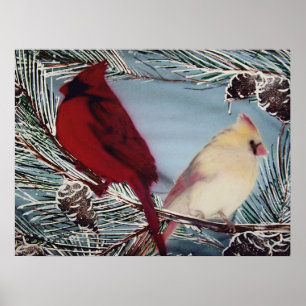 Cardinals Poster
