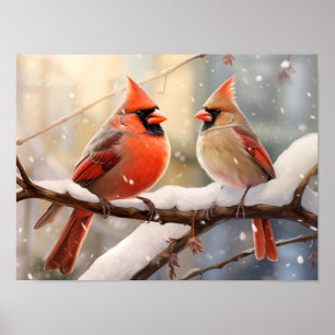 Cardinals Poster