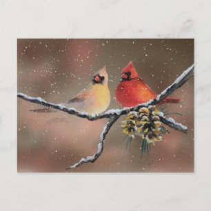CARDINALS & SNOW by SHARON SHARPE Postcard