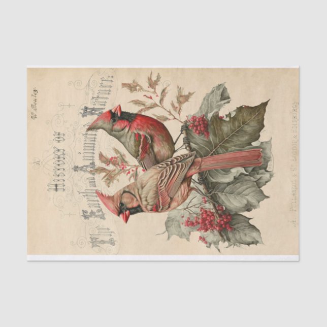 Cardinals Tissue Paper (Front)