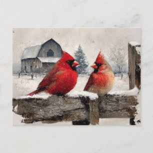 Cardinals Vintage Farm Postcard