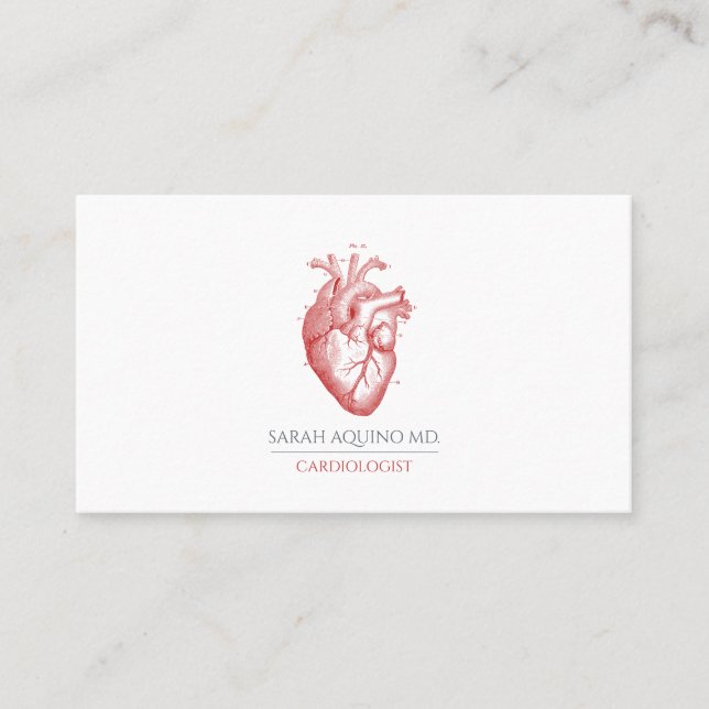 Cardiologist Doctor Anatomical Heart Illustration Business Card (Front)