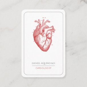 Cardiologist Doctor Anatomical Heart Illustration Business Card