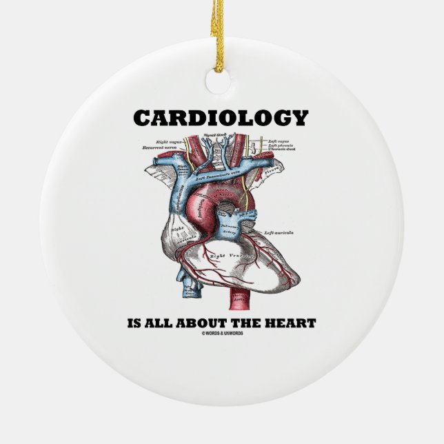 Cardiology Is All About The Heart (Anatomical) Ceramic Ornament (Back)