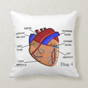 Cardiology Pillow "The Heart" Diag. 4