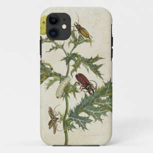 Cardos Spinosus: Beetles and Caterpillars, plate 6 iPhone 11 Case