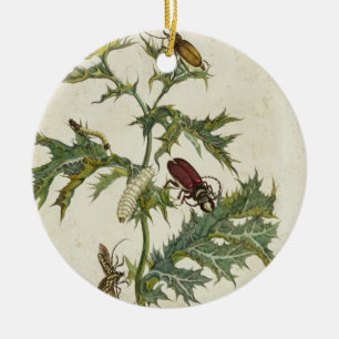 Cardos Spinosus: Beetles and Caterpillars, plate 6 Ceramic Tree Decoration
