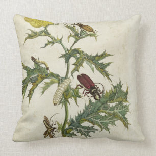 Cardos Spinosus: Beetles and Caterpillars, plate 6 Cushion