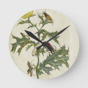 Cardos Spinosus: Beetles and Caterpillars, plate 6 Round Clock