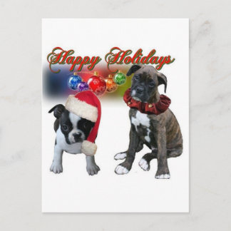 Cards: Happy Holidays from BT and Boxer puppies Holiday Postcard