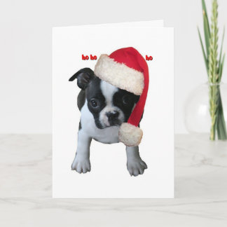 Cards: Santa baby Holiday Card