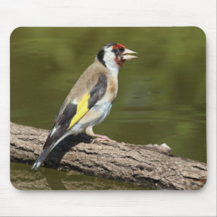 Carduelis carduelis mouse pad