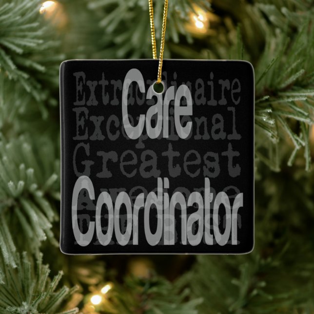 Care Coordinator Extraordinaire Ceramic Ornament (Tree)