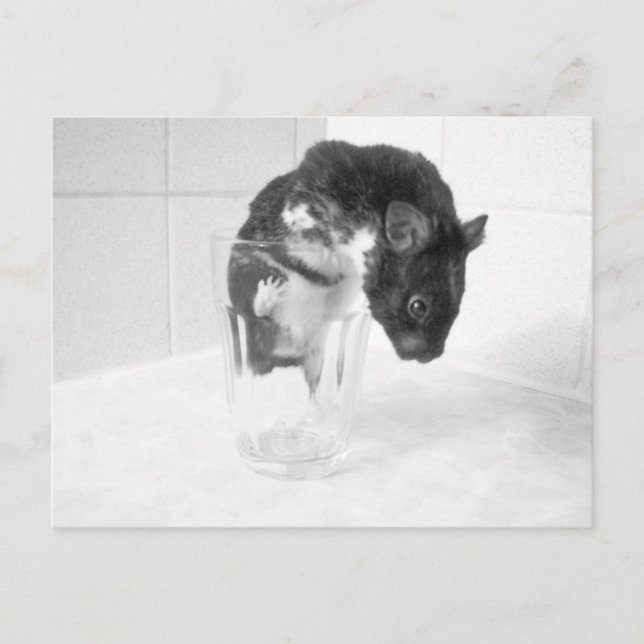 Care for a drink?? postcard (Front)