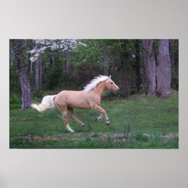 Care Free Poster (Front)