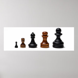 Career Path Poster