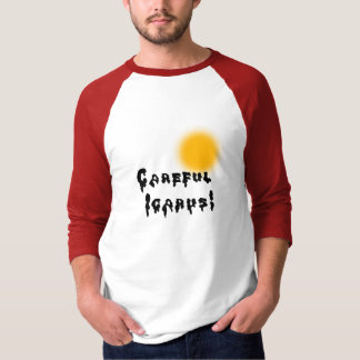 Careful Icarus! T-Shirt