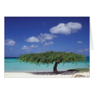 Caribbean, Aruba. Eagle Beach