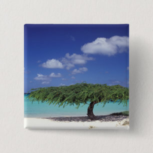 Caribbean, Aruba. Eagle Beach 15 Cm Square Badge