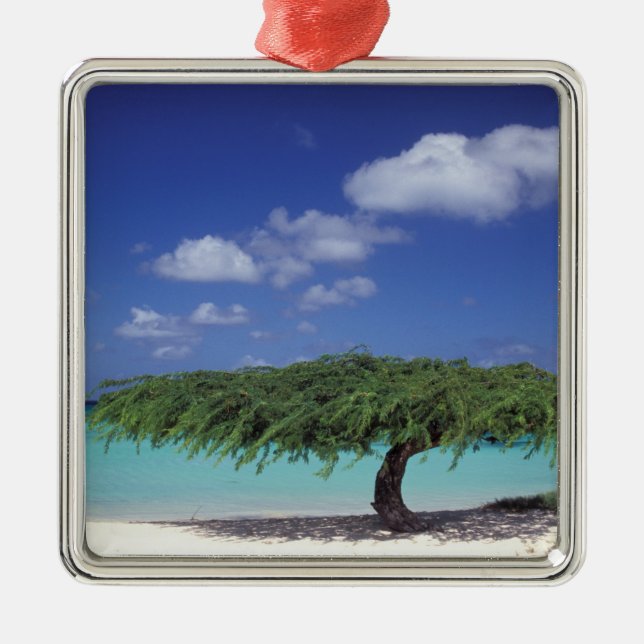 Caribbean, Aruba. Eagle Beach Metal Tree Decoration (Front)