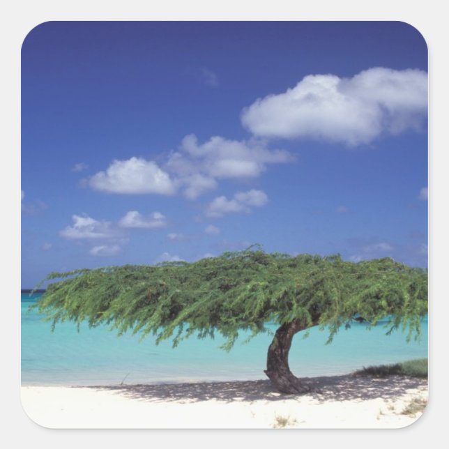 Caribbean, Aruba. Eagle Beach Square Sticker (Front)