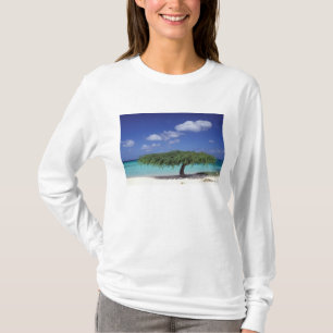 Caribbean, Aruba. Eagle Beach T-Shirt