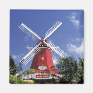Caribbean, Aruba. Old Mill, converted into 'Mill Magnet