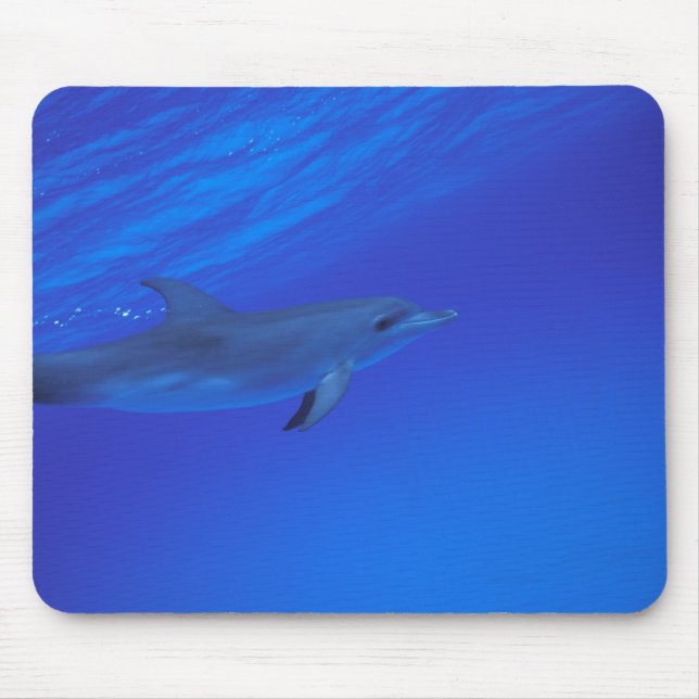 Caribbean, Bahamas Spotted dolphin Mouse Pad (Front)