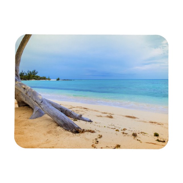 Caribbean Beachscape Magnet (Horizontal)