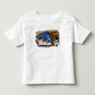 Caribbean, Bermuda, Tucker's Town. Natural Toddler T-Shirt