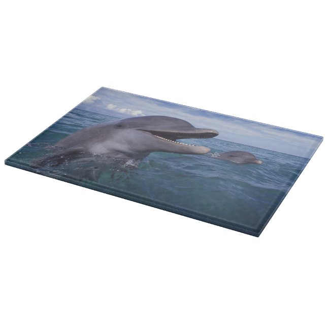 Caribbean, Bottlenose Cutting Board (Corner)