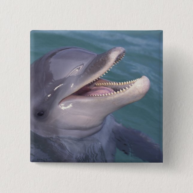 Caribbean, Bottlenose dolphin 15 Cm Square Badge (Front)