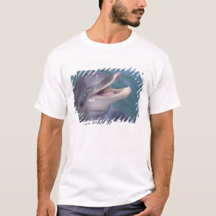 Caribbean, Bottlenose dolphin T-Shirt