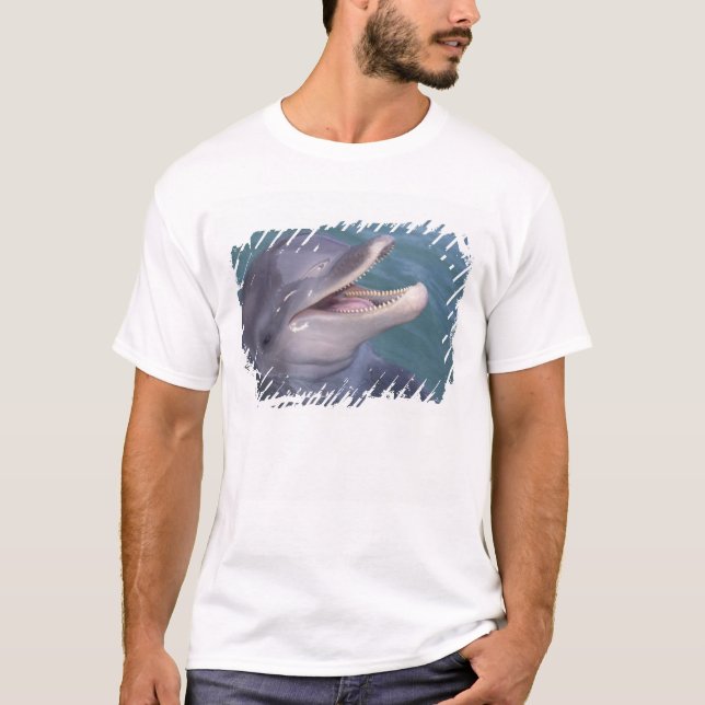 Caribbean, Bottlenose dolphin T-Shirt (Front)