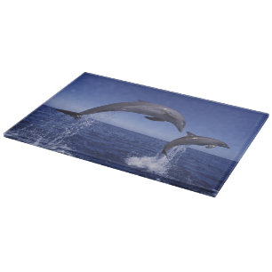 Caribbean, Bottlenose dolphins Cutting Board