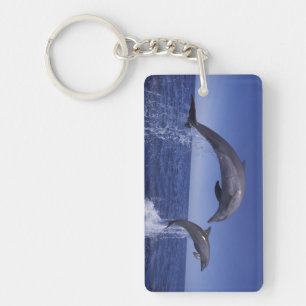 Caribbean, Bottlenose dolphins Key Ring