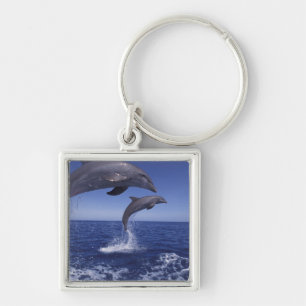 Caribbean, Bottlenose dolphins Key Ring